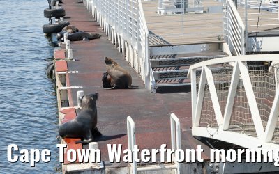 Cape Town Waterfront morning impressions
