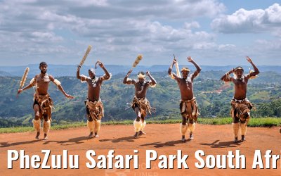 PheZulu Safari Park South Africa