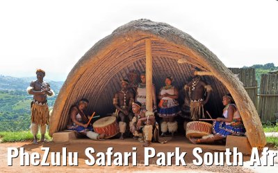 PheZulu Safari Park South Africa