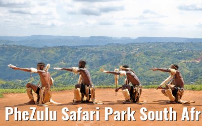 PheZulu Safari Park South Africa