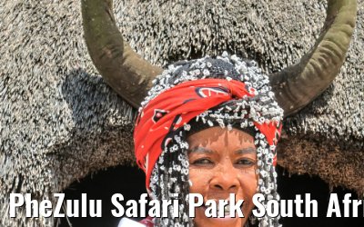 PheZulu Safari Park South Africa