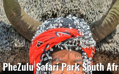 PheZulu Safari Park South Africa