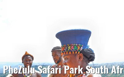 PheZulu Safari Park South Africa