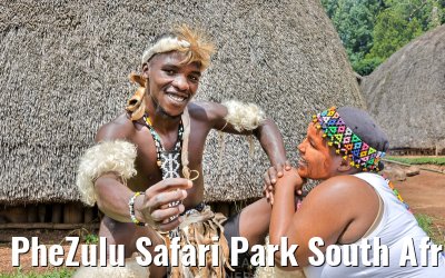 PheZulu Safari Park South Africa