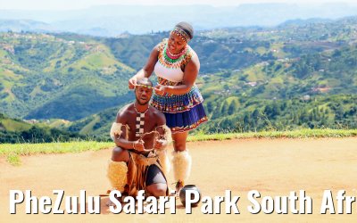 PheZulu Safari Park South Africa