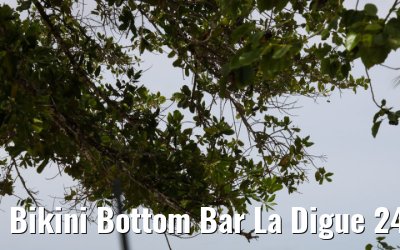 Bikini Bottom Bar La Digue 24.02.2026