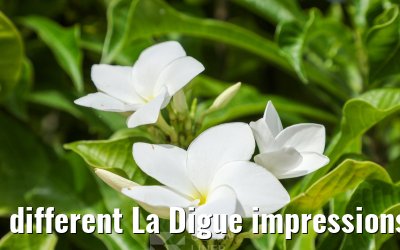 different La Digue impressions 24.02.2026