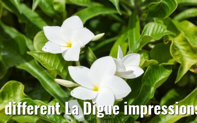 different La Digue impressions 24.02.2026