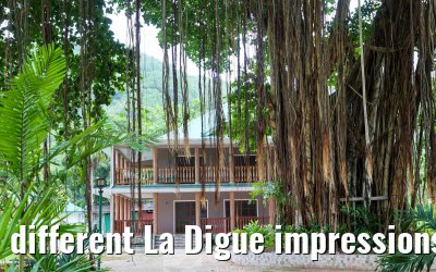 different La Digue impressions 24.02.2026