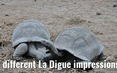 different La Digue impressions 24.02.2026