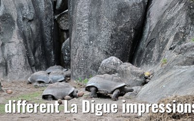 different La Digue impressions 24.02.2026