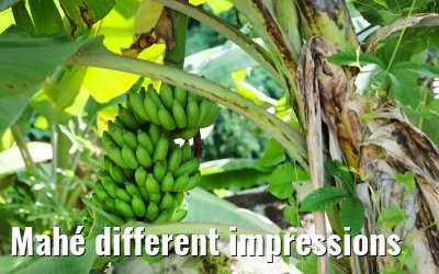 Mahé different impressions