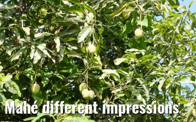 Mahé different impressions