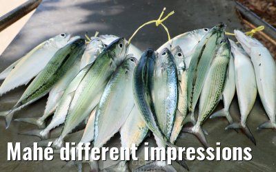 Mahé different impressions