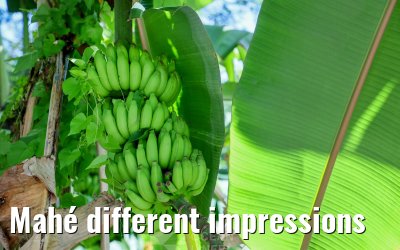 Mahé different impressions