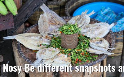 Nosy Be different snapshots and market