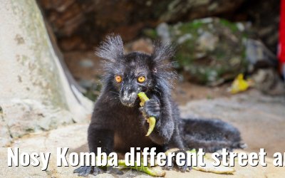 Nosy Komba different street and island impressions