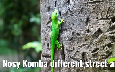 Nosy Komba different street and island impressions