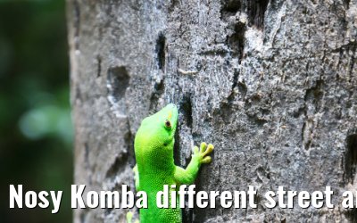 Nosy Komba different street and island impressions