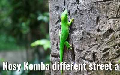 Nosy Komba different street and island impressions