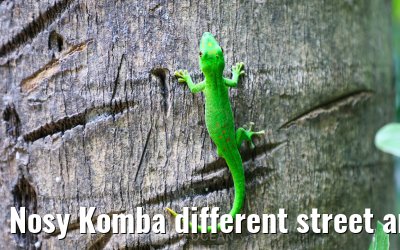Nosy Komba different street and island impressions