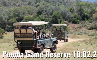 Pumba Game Reserve 10.02.2026
