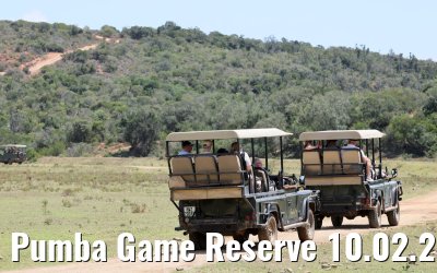 Pumba Game Reserve 10.02.2026