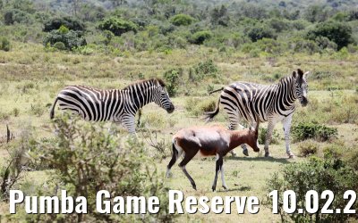 Pumba Game Reserve 10.02.2026