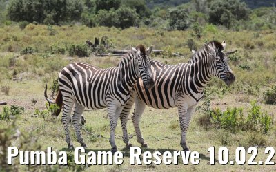 Pumba Game Reserve 10.02.2026