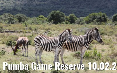 Pumba Game Reserve 10.02.2026