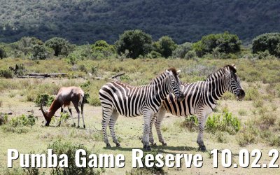 Pumba Game Reserve 10.02.2026