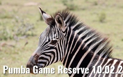 Pumba Game Reserve 10.02.2026
