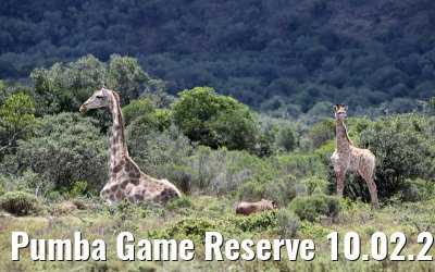 Pumba Game Reserve 10.02.2026