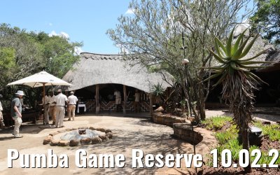 Pumba Game Reserve 10.02.2026