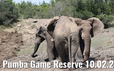 Pumba Game Reserve 10.02.2026