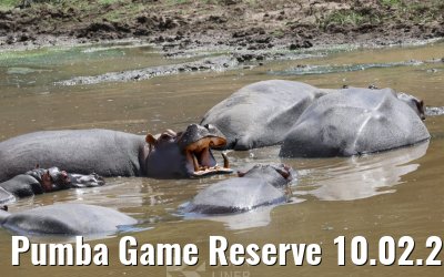 Pumba Game Reserve 10.02.2026