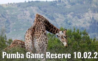 Pumba Game Reserve 10.02.2026