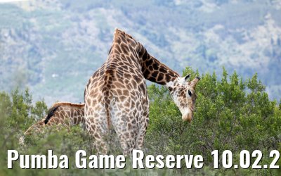 Pumba Game Reserve 10.02.2026