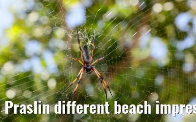 Praslin different beach impressions