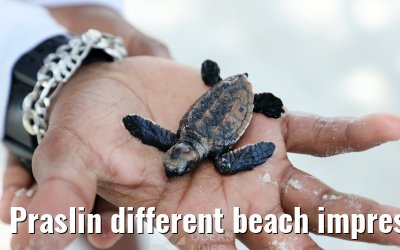 Praslin different beach impressions