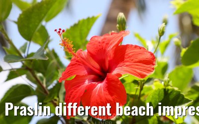 Praslin different beach impressions