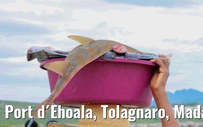 Port d´Ehoala, Tolagnaro, Madagascar impressions