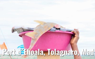 Port d´Ehoala, Tolagnaro, Madagascar impressions