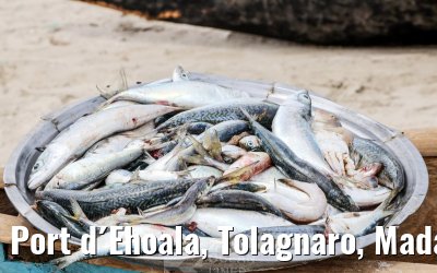 Port d´Ehoala, Tolagnaro, Madagascar impressions