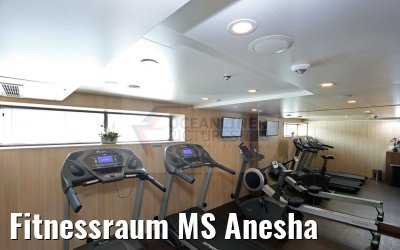 Fitnessraum MS Anesha