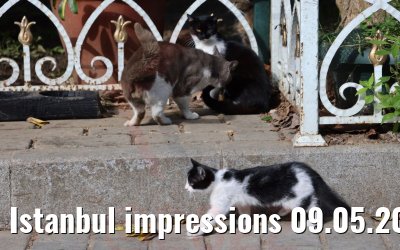 Istanbul impressions 09.05.2022