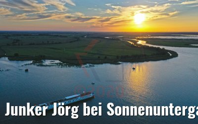 Junker Jörg bei Sonnenuntergang vor Zecheriner Brücke 06.08.2020
