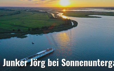 Junker Jörg bei Sonnenuntergang vor Zecheriner Brücke 06.08.2020