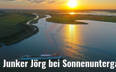 Junker Jörg bei Sonnenuntergang vor Zecheriner Brücke 06.08.2020