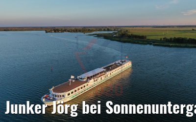 Junker Jörg bei Sonnenuntergang vor Zecheriner Brücke 06.08.2020